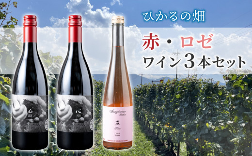 【ひかるの畑】赤ワイン・ロゼワイン　３本セット｜カベルネ・ソーヴィニヨン サンジョベーゼ