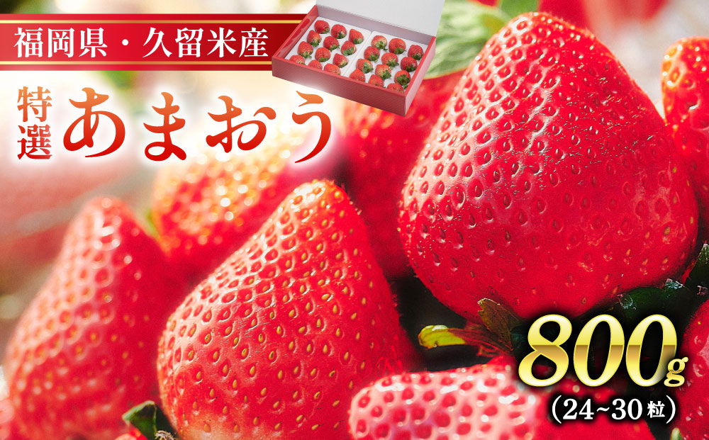 特選あまおう　800g 特選あまおう　800g