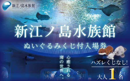  新江ノ島水族館 ぬいぐるみクジ 付き 入場券 大人1枚 / 水族館 チケット 観光