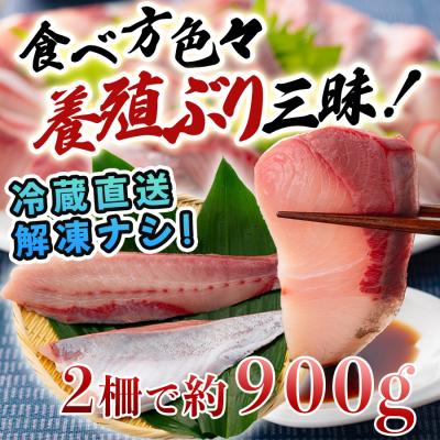 ふるさと納税 大月町 【国産】養殖ぶり 2柵セット ロイン 新鮮 ブリ 鰤 刺身 産地直送 冷蔵 寿司 ぶりしゃぶ