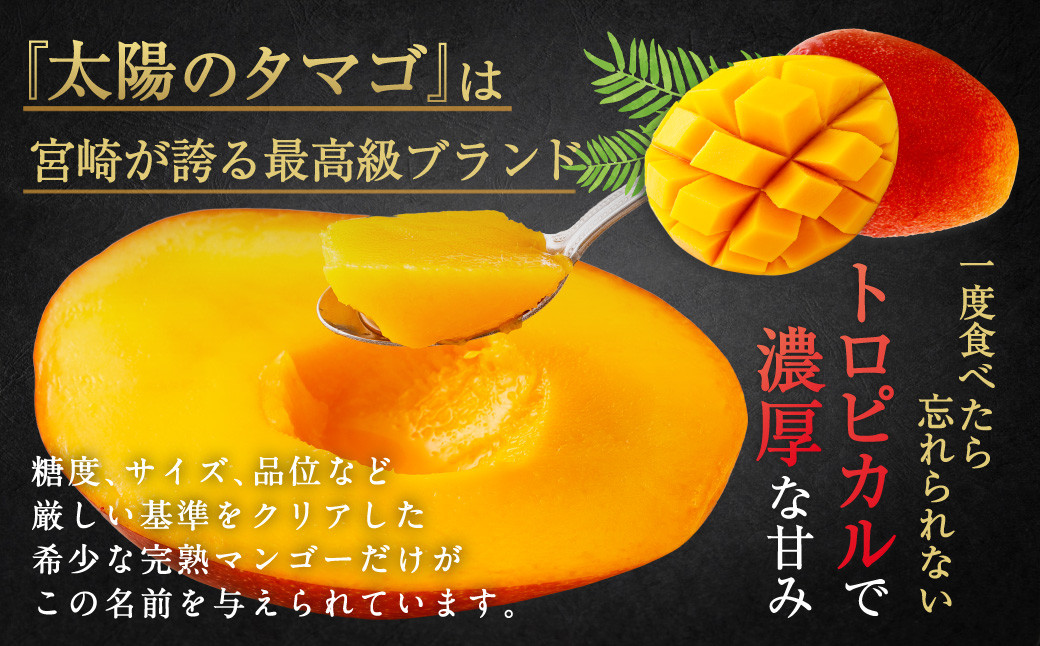 ＜宮崎県 完熟マンゴー 太陽のタマゴ 4L×2玉(合計 約1kg)＞