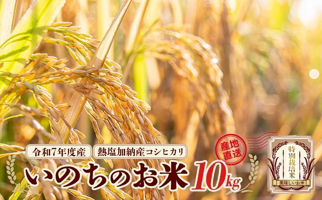 
            【先行予約】令和7年産雪蔵銀ぴか米 熱塩加納産 いのちのお米（コシヒカリ）10kg（令和7年10月24日以降発送）　【07208-0684】
          