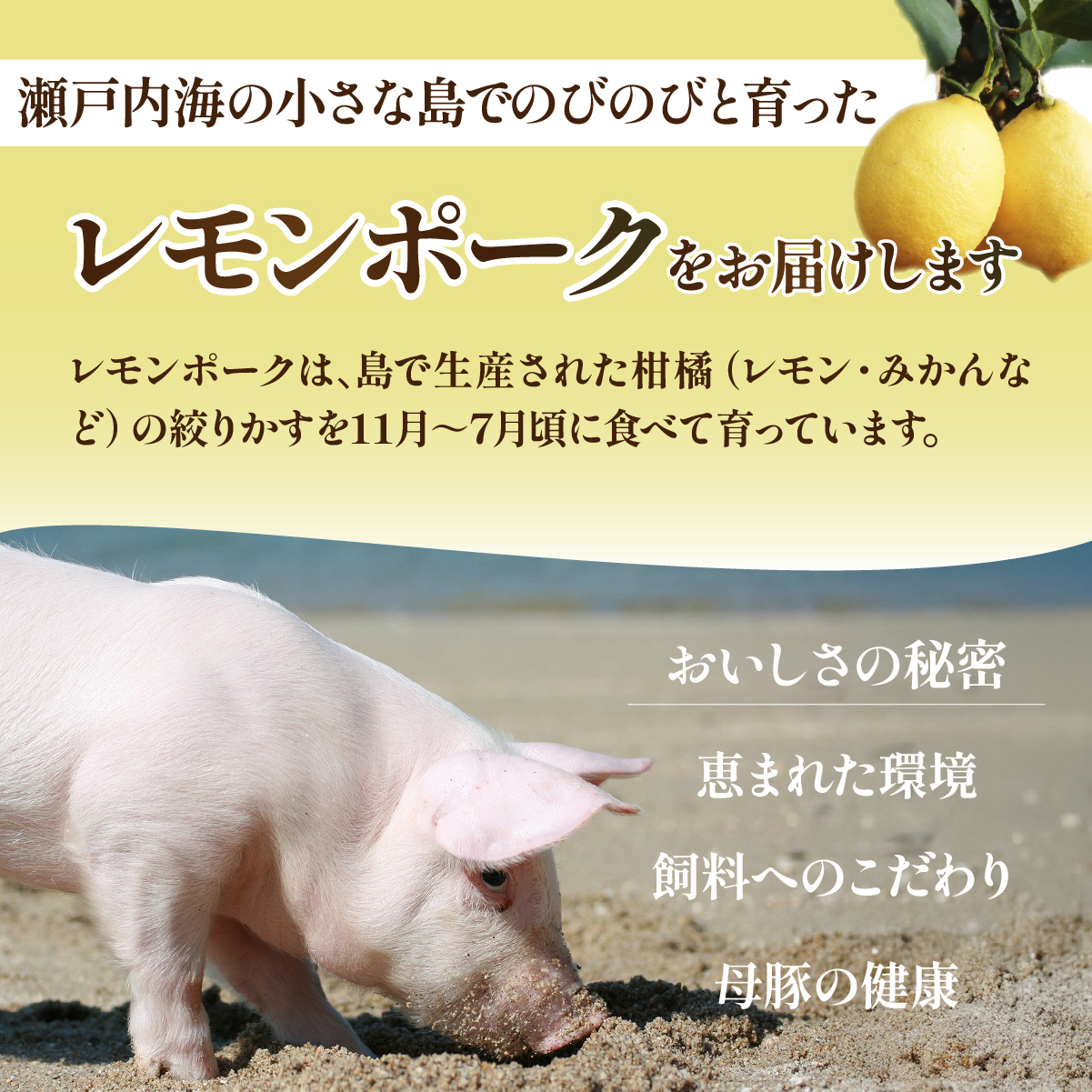【配送エリア：北海道・沖縄】レモンポーク　スペアリブ500gバラ焼肉400g 配送エリア：北海道・沖縄（離島不可）