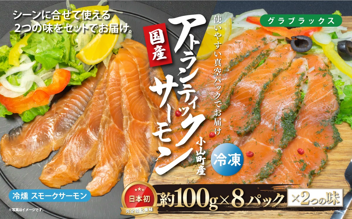 国産 小山町産 アトランティックサーモン 冷凍 スモークサーモン 冷燻・グラブラックス 食べ比べセット100g×8パック×2つの味