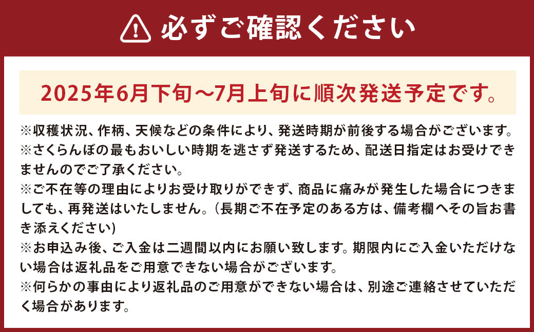 さくらんぼ 佐藤錦 一粒並べ  35粒
