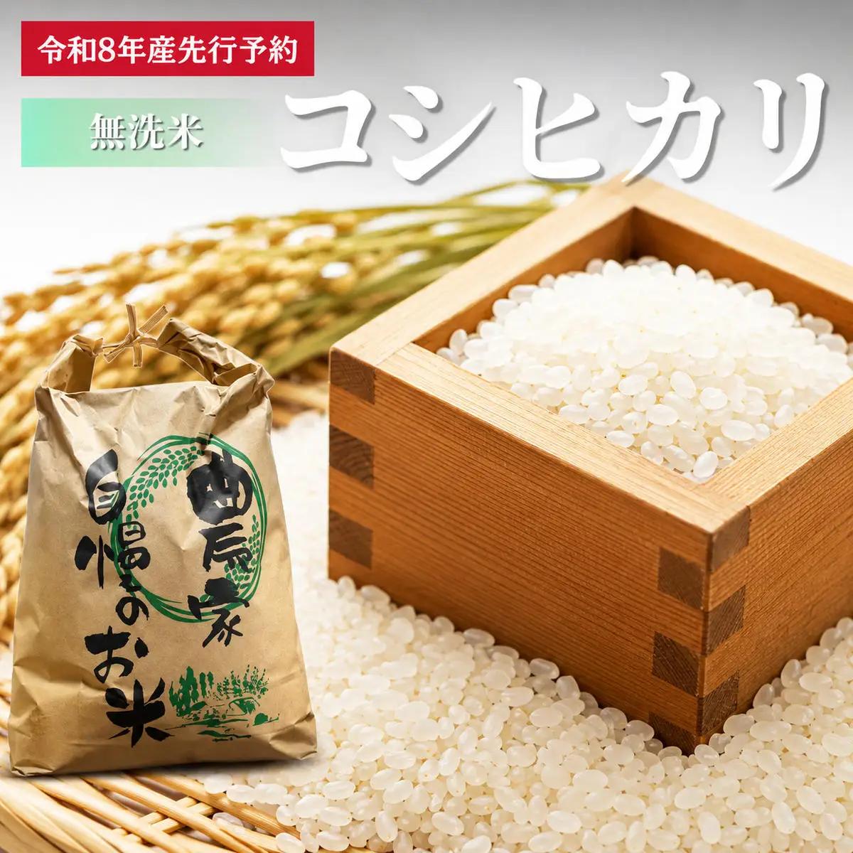 無洗米 コシヒカリ 10kg 米 お米 京都丹波産 無洗米