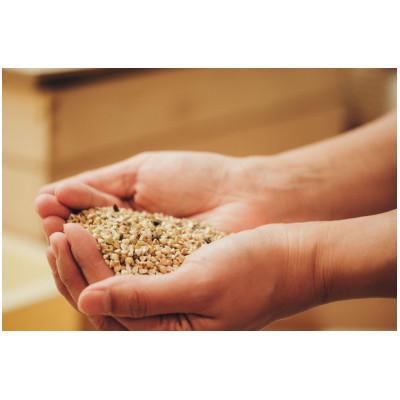 ふるさと納税 水戸市 常陸秋蕎麦　ソバニハチ |  | 02