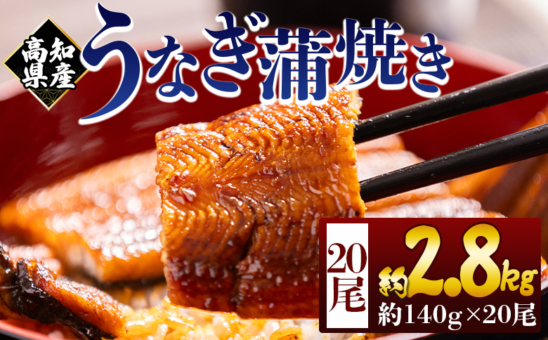 高知県産蒲焼きうなぎ 約１４０ｇ ２０尾 計約２８００ｇ fb-0182