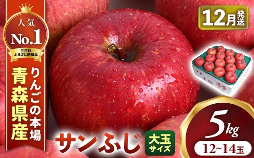 りんご【サンふじ】約5kg（12～14玉・大玉サイズ）【2026年産・先行予約】★2026年12月上旬～12月中旬頃発送予定★ 青森県三戸町産 アップル 林檎 フルーツ 果物 果実 青森県産 三戸 贈答 ギフト プレゼント 産地直送 農家直送 送料無料  青森県三戸町 AK-25-077