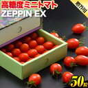 【ふるさと納税】ZEPPIN EX(エクセレント) 50粒 化粧箱入り（贈答用） 500g　平均糖度12度　甘い　フルーツトマト　贈答《90日以内に出荷予定(土日祝除く)》