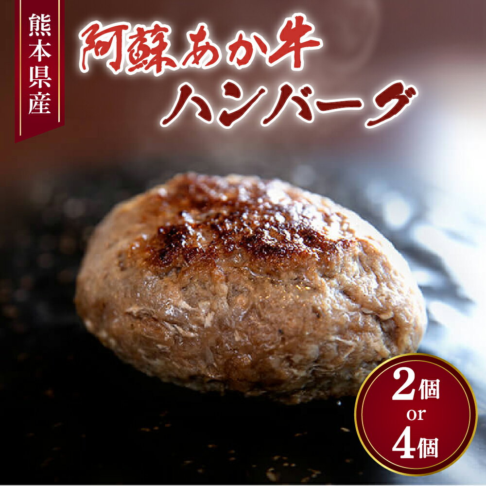 【ふるさと納税】阿蘇あか牛 ハンバーグ 選べる容量100g×2個 もしくは 100g×4個