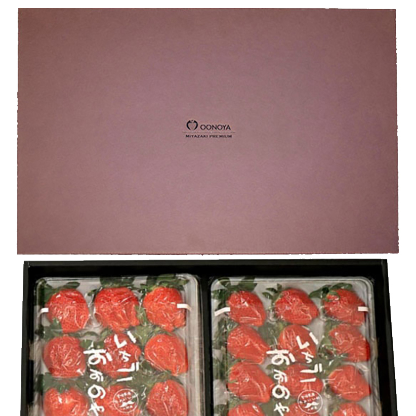 やよいひめ特別選定大粒いちごｘ２パック　計900g