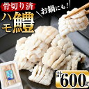 【ふるさと納税】お鍋・はもしゃぶにも！志布志湾鱧（骨切り済み）300g×2パック 計600g！鮮度を保った状態で骨切りしているので舌にも触らず食べやすい！湯引きして梅肉などで♪ハモしゃぶ・フライやバターソテーにも！【北崎水産】a5-296