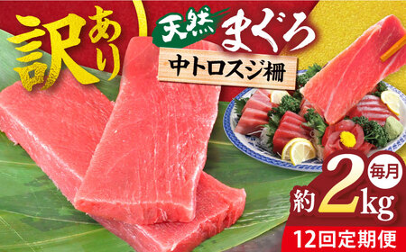 【全12回定期便】【訳あり】天然 本まぐろ 中トロスジ（約2kg）【横須賀商工会議所 おもてなしギフト事務局（本まぐろ直売所）】 [AKAK073]