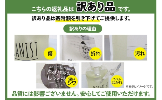 《訳あり》BOTANIST ボタニスト ボタニカル トリートメント 単品【ダメージケア】（詰替）2個【ネコポス】 [ボタニスト BOTANIST おすすめ 人気 サラサラ しっとり ボリューム まとま