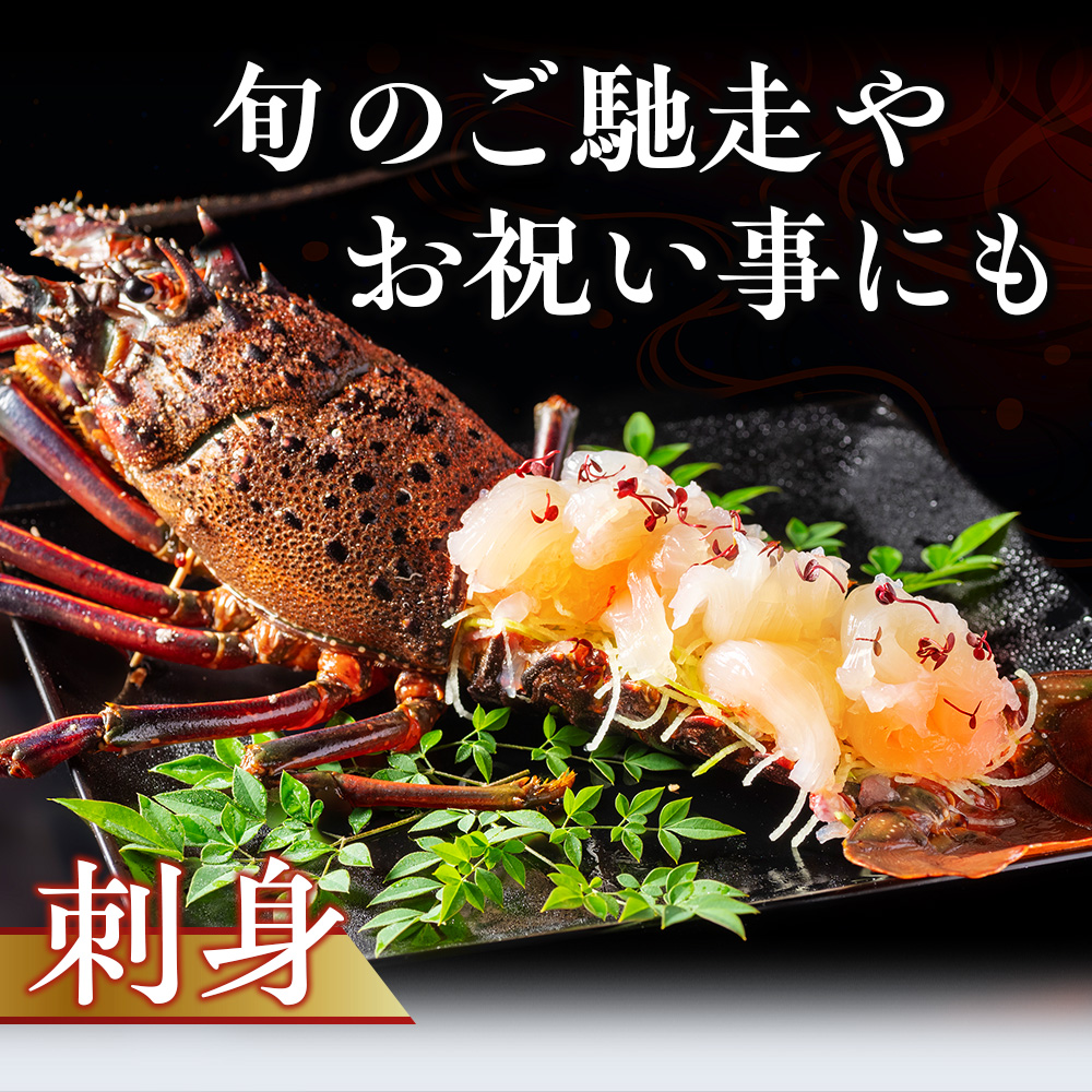 冷凍 伊勢海老 約500g 伊勢えび 産地直送 天然 国産 海鮮 新鮮 刺し身 味噌汁 焼き物 ギフト 贈答 えび 海老 ebi いせえび 高級食材 お中元 三重県 南伊勢 伊勢 志摩