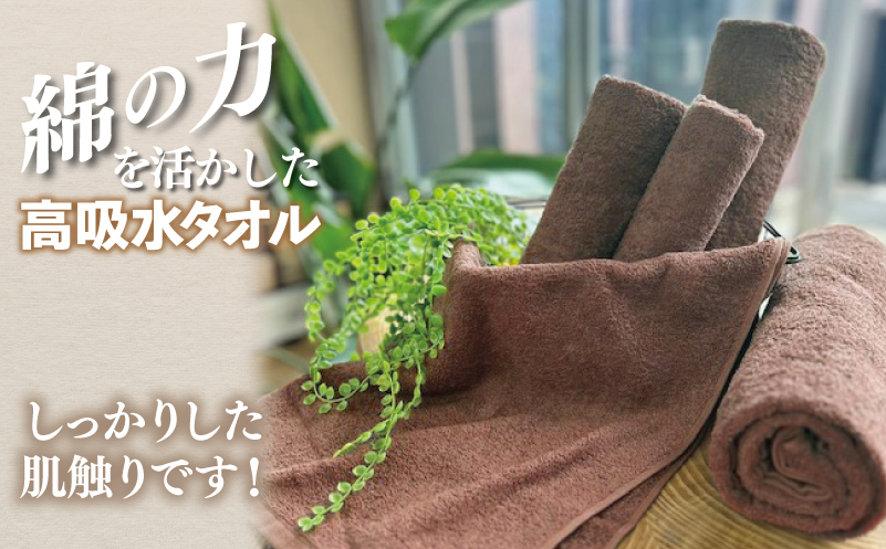 【スピード発送】〜MENRIKI〜高吸水タオル／ミニバスタオル／バスタオル 5枚セット（ミルクブラウン）【泉州タオル 国産 吸水 普段使い シンプル 日用品 家族 ファミリー】 010B1448