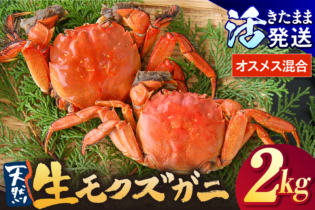 【天然 活生モクズガニ 約2kg 冷蔵】 国産 かに カニ 蟹 天然 活 生 モクズガニ もくずがに 川ガニ 川がに 人気 大人気 おすすめ 返礼品 ふるさと納税 兵庫県 香美町 香住 山米鮮魚 74-33