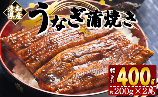 うなぎ 蒲焼き 約200g×2尾 (愛知県産鰻) フジ物産 国産 養殖 fb-0013