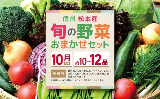 
                  【先行受付：10月発送】信州松本産・旬の野菜 おまかせセット（約10～12品） │野菜 やさい 旬 旬の野菜 新鮮 自然 セット 野菜セット 美味しい 長野県 信州 松本 ふるさと納税
                