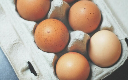 天心山 たまご 40個（10個入り×4パック） 卵 たまご 高級 食品 たまごかけご飯 卵かけご飯 卵焼き 生卵 濃厚 ケーキ お菓子 づくり ランキング 上位 人気 おすすめ 　広島県福山市/天心山