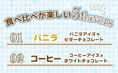 チョコアイスボールセット（65粒入）5種類×13個（バニラ、ストロベリー、コーヒー、クランチ、抹茶）　A002