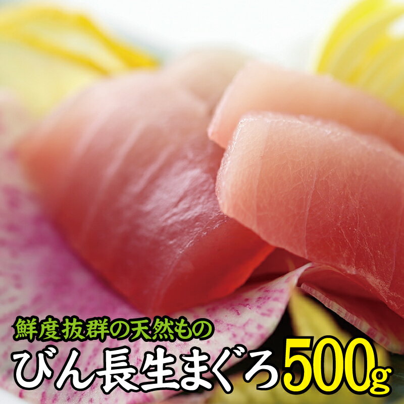 【ふるさと納税】 天然 びん長生マグロ 500g 鮮度抜群の生まぐろをお届けします / 生鮪 鮪 マグロ 生まぐろ ビンチョウマグロ 刺身