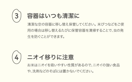 【先行予約】新米 米 つや姫 10kg 2024年産 令和6年産 無洗米 ja-tsmxb10 ※沖縄・離島への配送不可