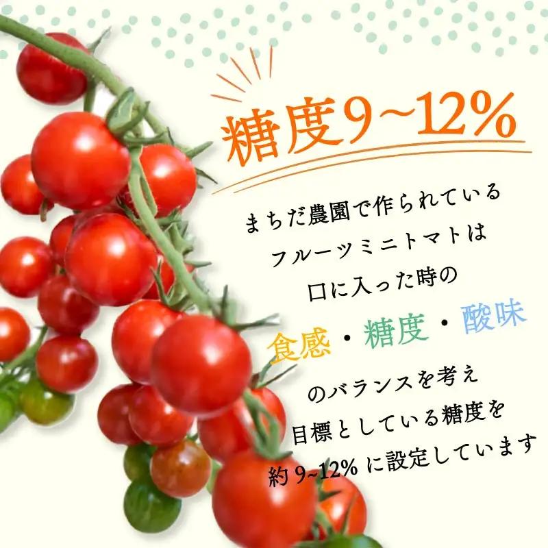 【2026年11月中旬～発送】 トマト フルーツミニトマト 1kg 高糖度 フルーツ ミニトマト