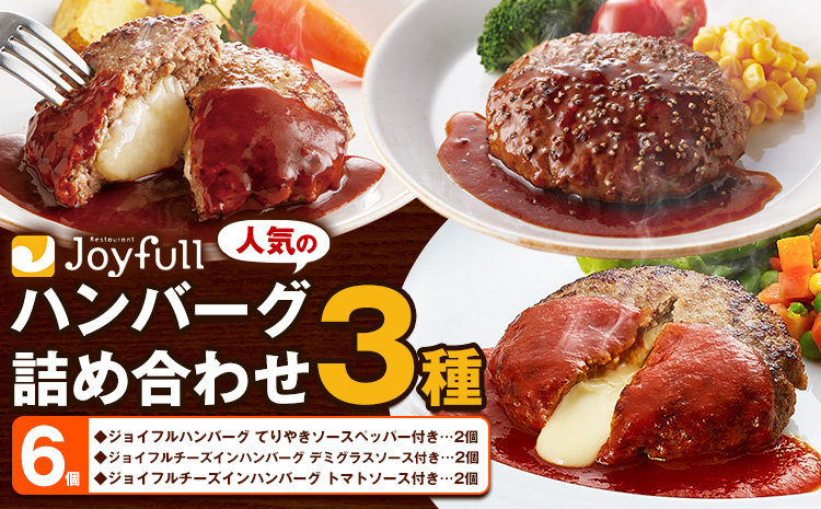 ジョイフルハンバーグ 人気の詰め合わせ ソース付き 食べ比べ 3種類 セット 6個 亀井通産株式会社《30日以内に出荷予定(土日祝除く)》熊本県 菊池市 生ハンバーグ チーズインハンバーグ 牛肉 ジョイフル 焼くだけ ハンバーグ
