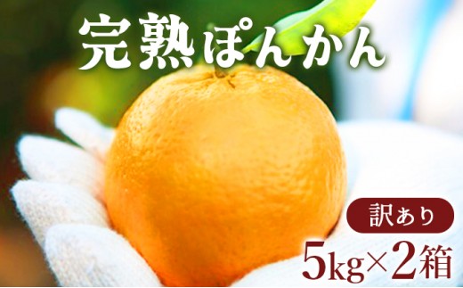 【先行予約】 訳アリ完熟ぽんかん＜5kg＞×2箱セット10kg 国産 東洋町産 訳あり 甘酸っぱい 甘い 蜜柑 ミカン ジューシー 高知県 東洋町 四国 お取り寄せ フルーツ 果物 送料無料 産地直送