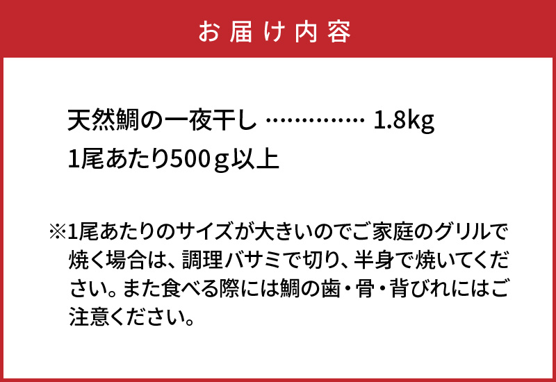 驚愕の大きさ！訳あり天然鯛の一夜干し1.8kg_1554R