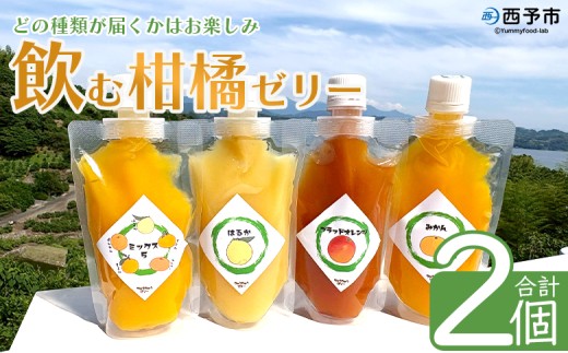 ＜つるんと食感の飲む柑橘ゼリー 2個＞『1か月以内に順次発送予定』果物ゼリー くだもの ゼリー パウチ みかん 蜜柑 デザート スイーツ おやつ のむ ストレート 果汁 100％ 食感 ぷるぷる お楽しみ 渡江から一歩を踏み出す会 愛媛県 西予市 【常温】
