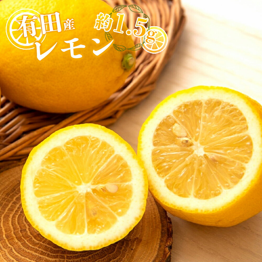 【ふるさと納税】和歌山県有田産 レモン 約1.5kg【レモン 檸檬 れもん 和歌山県 有田産】