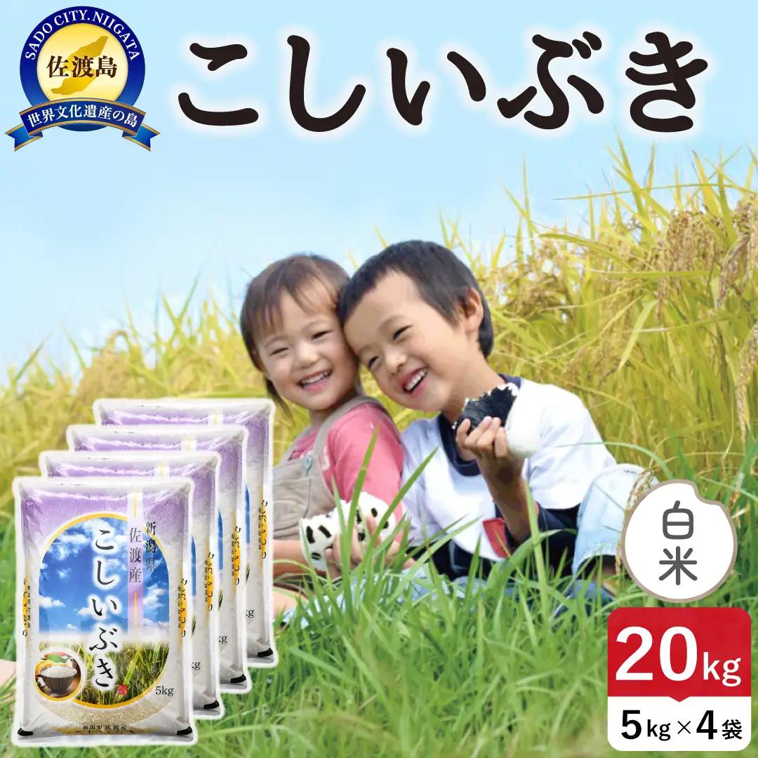 令和8年産 佐渡島産こしいぶき 白米20kg