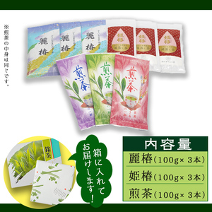 小さい お茶屋 深蒸し 茶 セット 2 鹿児島県産 緑茶【お茶の山口園】B46-v01