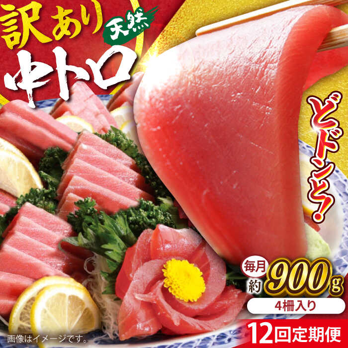 【ふるさと納税】【全12回定期便】【訳あり】天然 まぐろ 中トロ メバチ 計約900g (4柵入り) マグロ 定期 鮪 まぐろ 中とろ 刺身 定期便 横須賀 規格外 【本まぐろ直売所】[AKAK052]