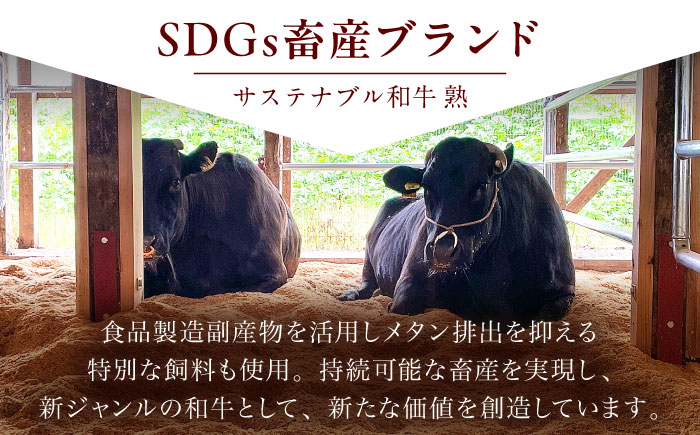 サステナブル和牛 熟 タレ漬けホルモン3P 200g×3袋 計600g | サステナブル 和牛 熟 自家製 タレ漬け ホルモン 島根県雲南市/株式会社熟豊ファーム [AIAT004]