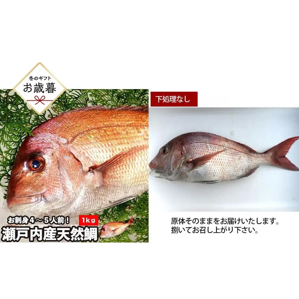 【お歳暮】【下処理なし】活き締め真鯛1尾（約1kg）タイ たい 刺身 鍋