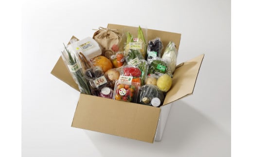 【全12回定期便】ふるさと納税限定！『シェフの食卓』〜野菜・果物・お米・卵の詰め合わせ〜　愛媛県大洲市/有限会社ヒロファミリーフーズ [AGBX033]サラダ 野菜セット 料理 鍋 果物 おコメ おこ