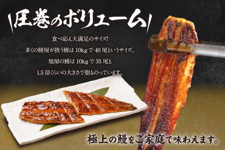 【お中元用】国産特大うなぎ長焼き６尾(約２００ｇ)　合計約１，２００ｇ（2279）