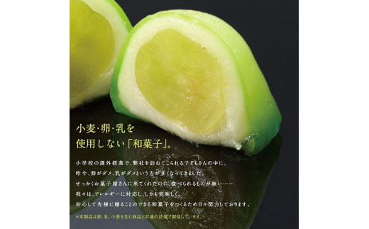 SPオパールのぶどう　シャインマスカット　1箱6個入