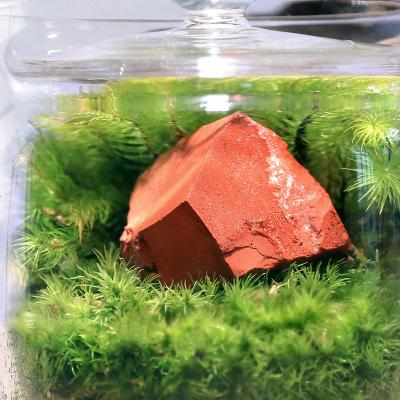 ふるさと納税 邑楽町 苔テラリウム 鉱石レッドジャスパー(赤碧玉)ガラスポットS 説明書付|09_chm-bs0101 |  | 01
