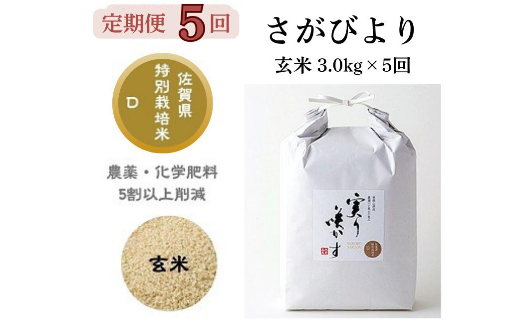 
            【定期便5回】「実り咲かす」特別栽培さがびより 玄米 3kg（計15kg）：B540-003
          