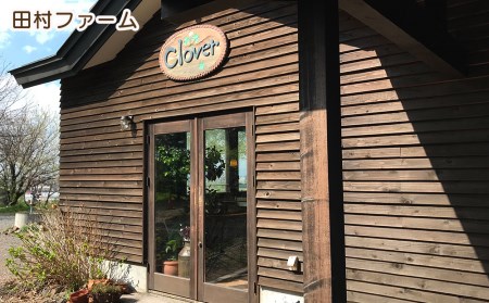 全６回★アイスクリームの定期便＜田村ファーム＞【定期便・頒布会特集】