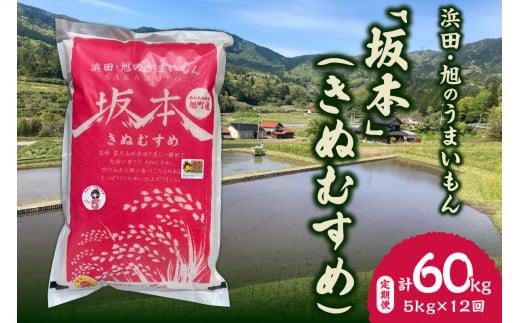 【定期便】【令和6年産】浜田・旭のうまいもん「坂本」（きぬむすめ）5kg×12回＜10月21日から発送＞ 【1014】