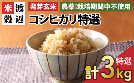 【令和6年産・新米】【発芽玄米】福井県産 コシヒカリ特選 真空パック 3kg  ～玄米以上の栄養価と白米に近い柔らかさ～ 【無洗米 米 こしひかり 玄米 ギャバ GABA 特別栽培 食物繊維 栄養 真空パック ごはん ご飯 おいしい ふるさと納税米】 [A-2963]