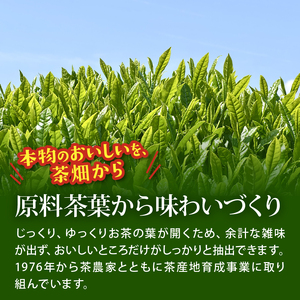 131-14000　【定期便6か月】お～いお茶緑茶PET600ml×24本 【 茶 】