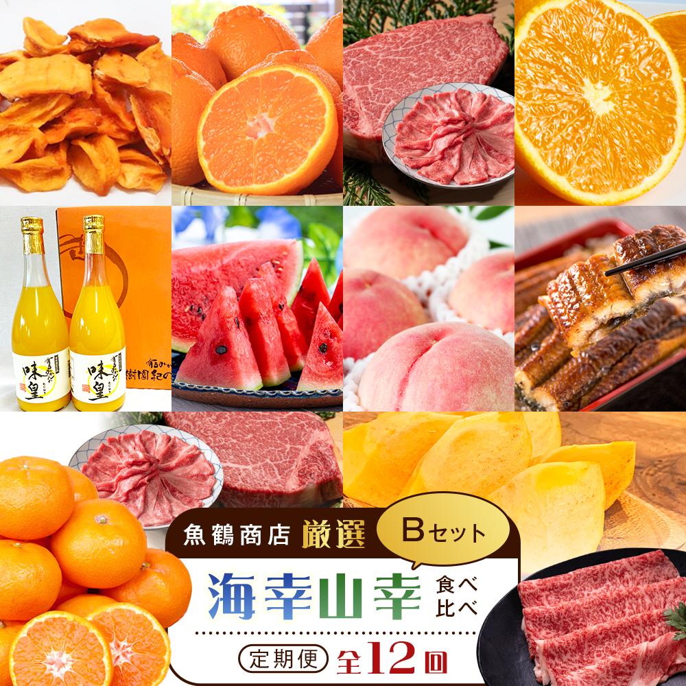 【魚鶴商店厳選！】人気の海幸山幸食べ比べ【定期便全12回】セットB【UT110】　XF90002