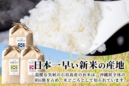 【定期便 3回】3ヶ月連続でお届け 星の美しゃ・於茂登のひかり・ひとめぼれ 5kg が毎月交互に届く(合計15kg)【日本一早い新米の産地】令和５年産 石垣島産 【産地直送 沖縄県 石垣市 石垣島 米